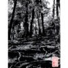 Linogravure d'une forêt de Kurama aux mille racines