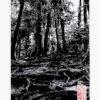 Linogravure d'un chemin sinueux dans la forêt de Kurama - Face