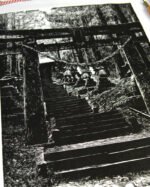Gravure japonaise Torii en forêt – Estampe artisanale en linogravure