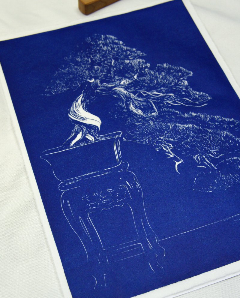 cascade végétale bonsaï estampe japonaise bleu
