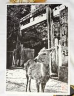 Linogravure artisanale représentant un daim de Nara devant un torii au Japon